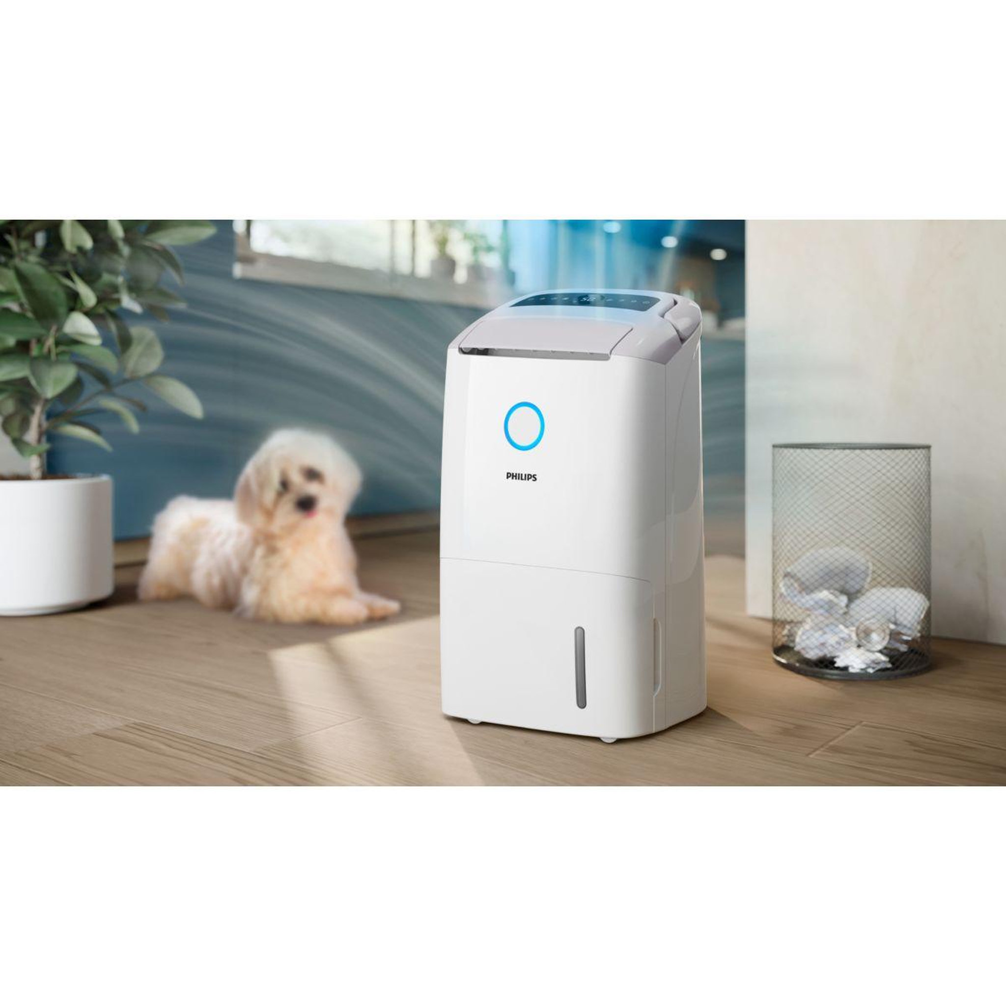 Voir la diapositive 4 : Philips Deshumidificateur gobi+ de5305/11 série 5000