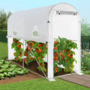 Voir la diapositive 2 : ID MARKET Serre à tomates relevable 3m² blanche 2 fenêtres avec moustiquaire et porte zippée
