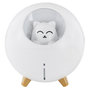 Voir la diapositive 1 : Paris Prix Diffuseur de Parfum Led  Chat  11cm Blanc