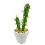 paris prix plante artificielle en pot 2 tiges cactus 23cm blanc