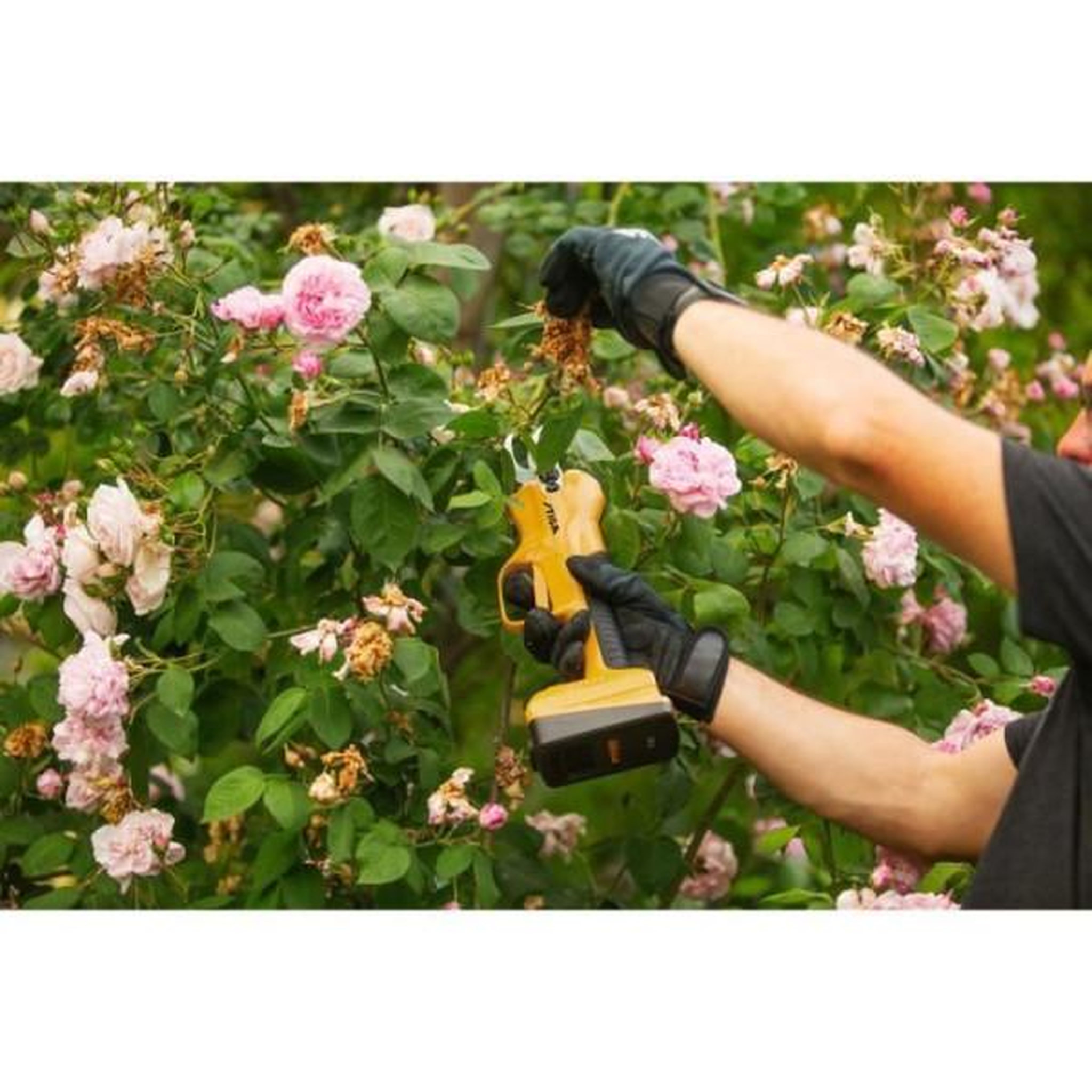 Voir la diapositive 4 : MARKET24 Sécateur stiga sc 100e kit