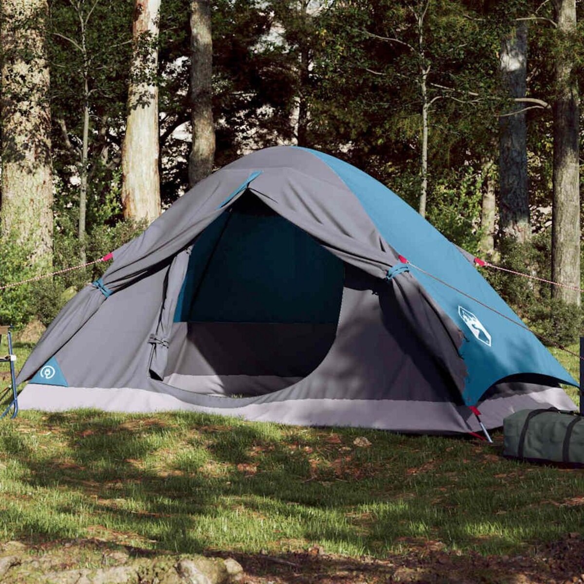 VIDAXL Tente de camping a dome 4 personnes bleu impermeable