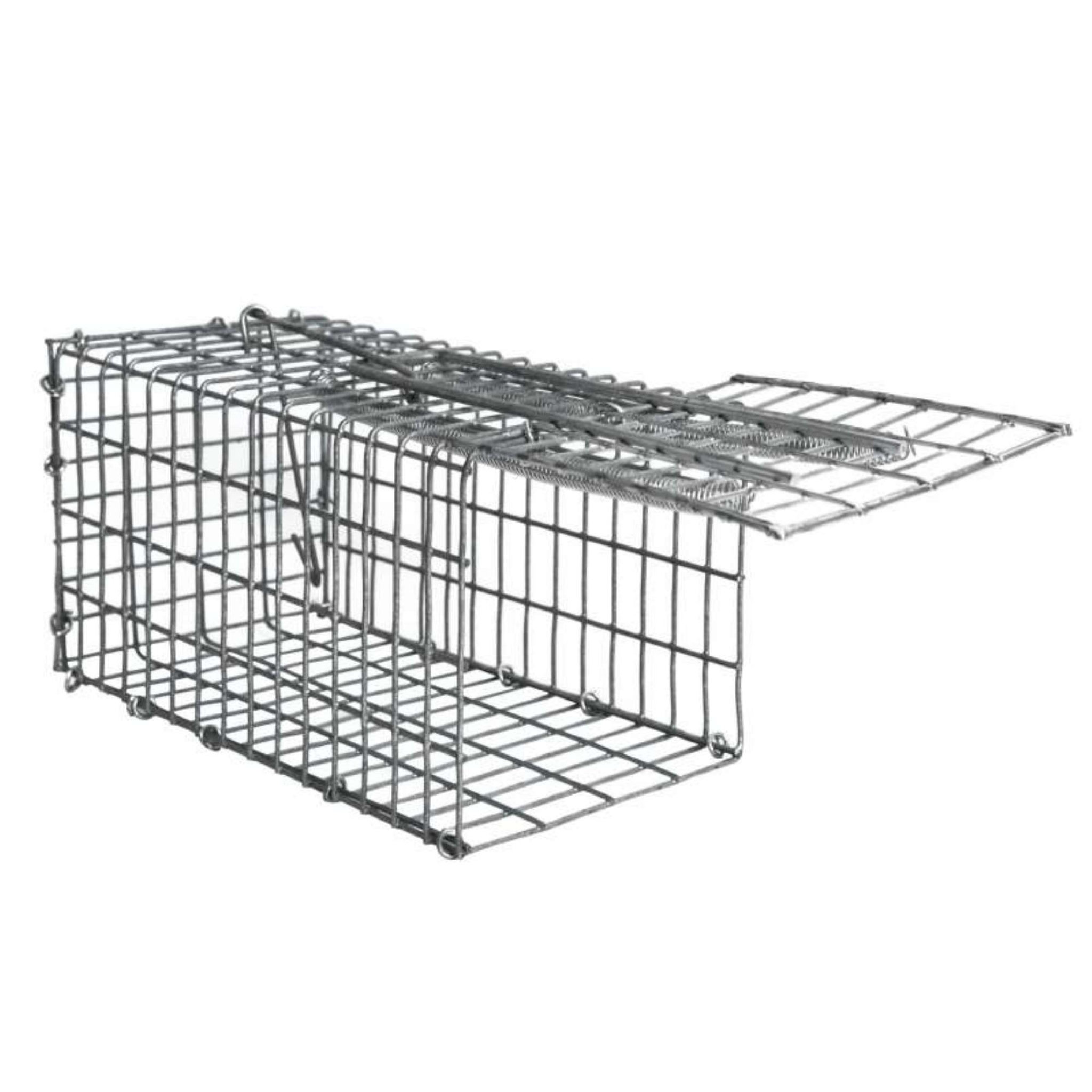 Voir la diapositive 1 :  Nasse pour souris ou rat Werkapro 20 x 10 x 10 cm
