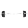 Voir la diapositive 2 : VIDAXL Haltère avec poids 30 kg