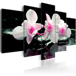 Paris Prix Tableau Imprimé  Rest of Orchids. Coloris disponibles : Multicolore