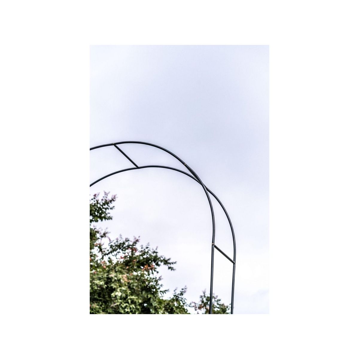 SUAN Support arceau pour plante - Suan - Accompagnement à la pousse - Dimensions : 137 x 243 x 38 cm