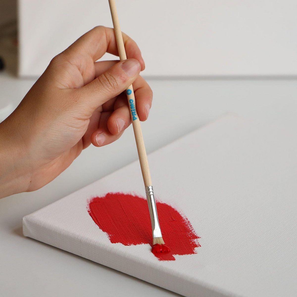 PRIMO 10 pinceaux ronds et plats