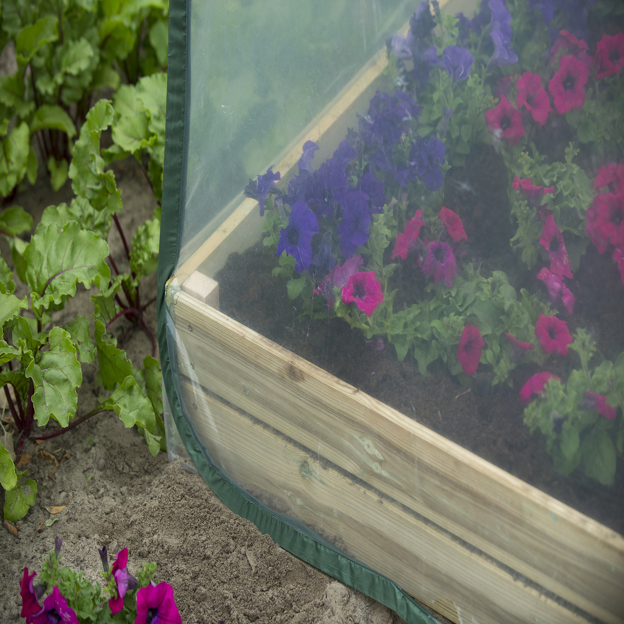 Voir la diapositive 4 : NATURE Serre de jardin pour carré potager - Pop-up