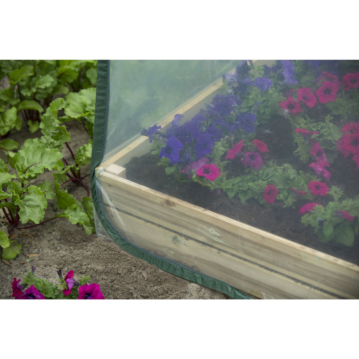 NATURE Serre de jardin pour carré potager - Pop-up