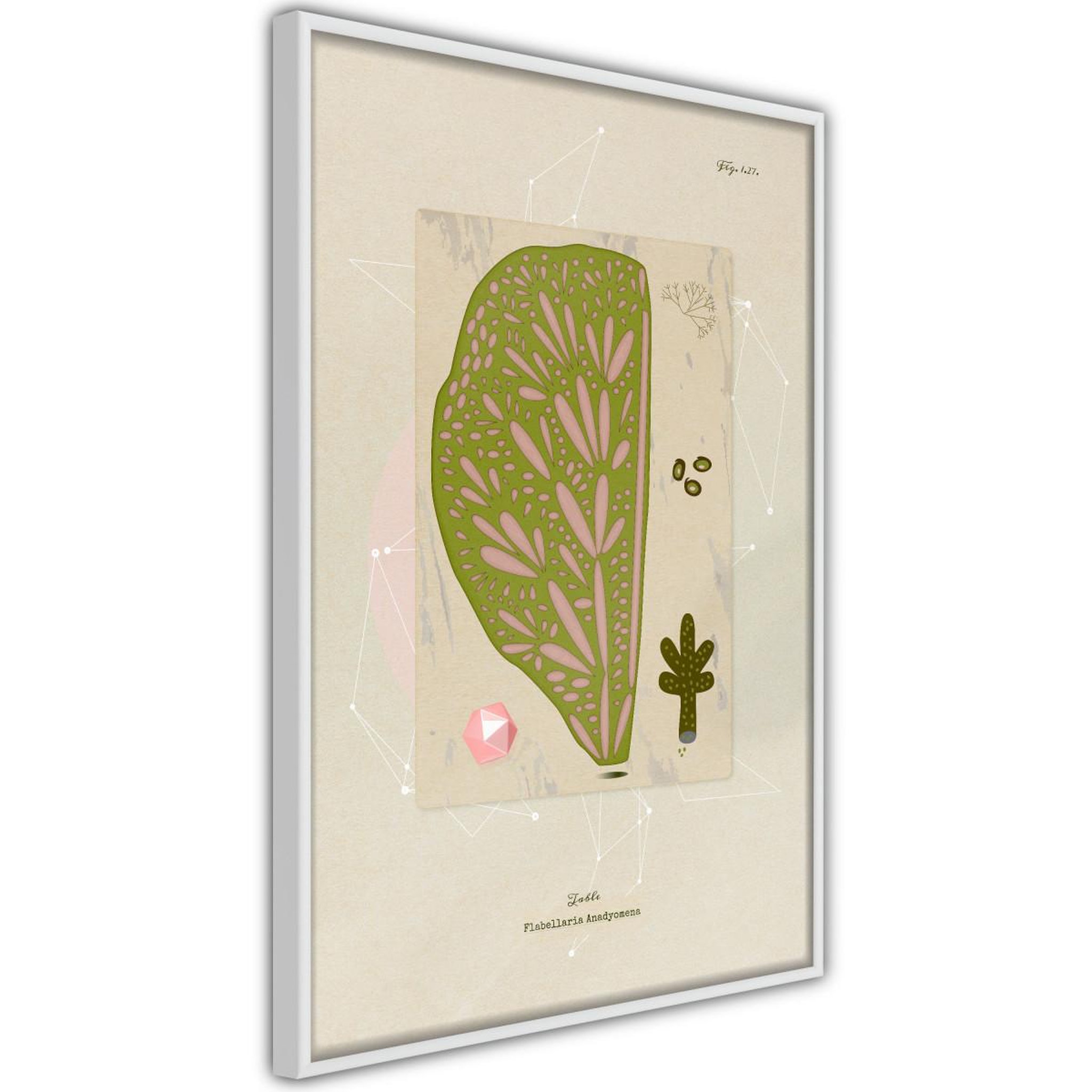 Paris Prix Affiche murale encadrée  cross section of a leaf