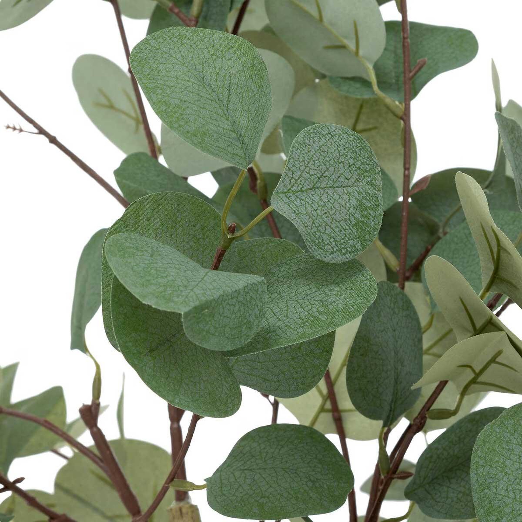 Voir la diapositive 2 : ATMOSPHERA Plante artificielle eucalyptus  cony  127cm vert
