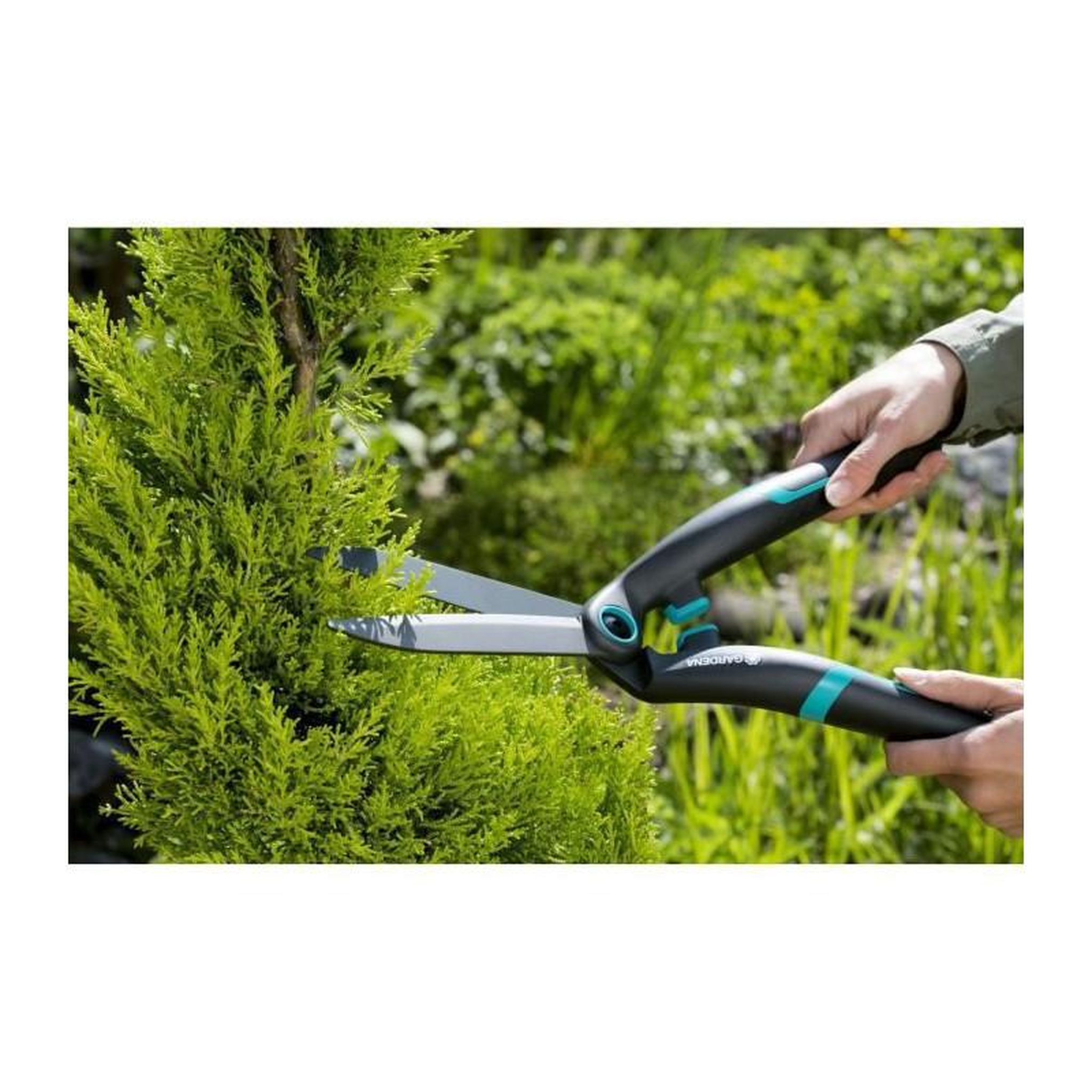 Voir la diapositive 3 : Gardena Cisaille à buis PrecisionCut - lames droites anti-adhérentes - 615 g - lames : 17 cm