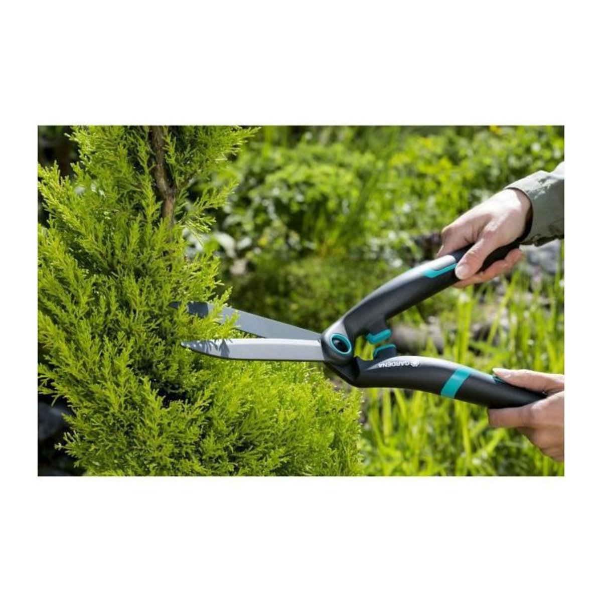Gardena Cisaille à buis PrecisionCut - lames droites anti-adhérentes - 615 g - lames : 17 cm