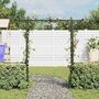 Voir la diapositive 3 : VIDAXL Arche de jardin 200x52x204 cm