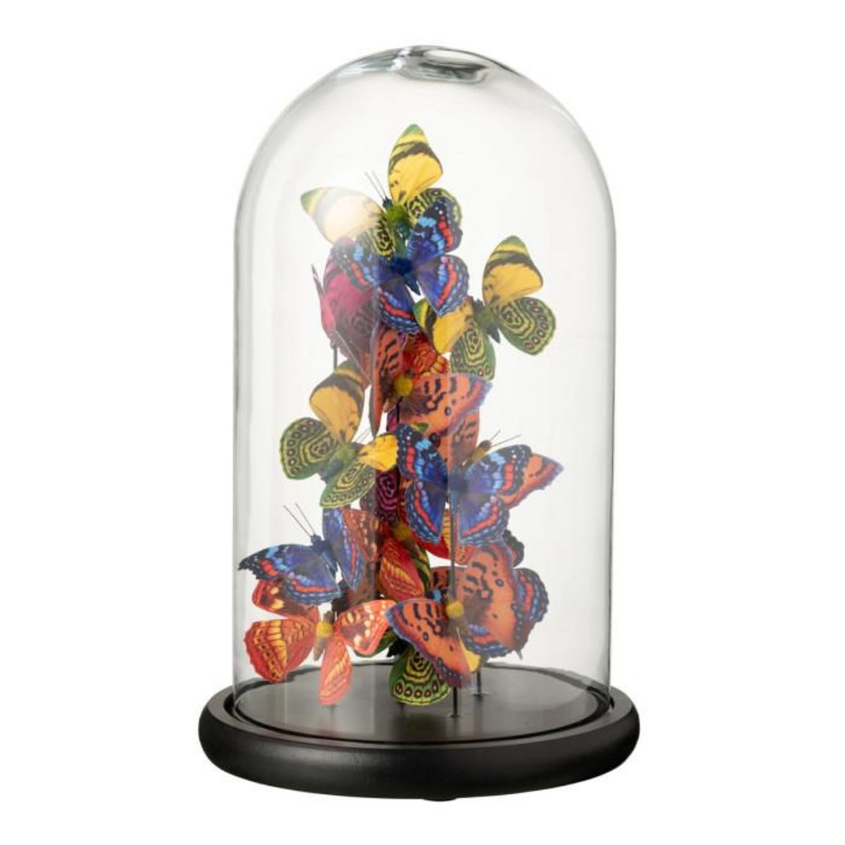 Paris Prix Cloche Déco en Verre  Papillons  38cm Multicolore