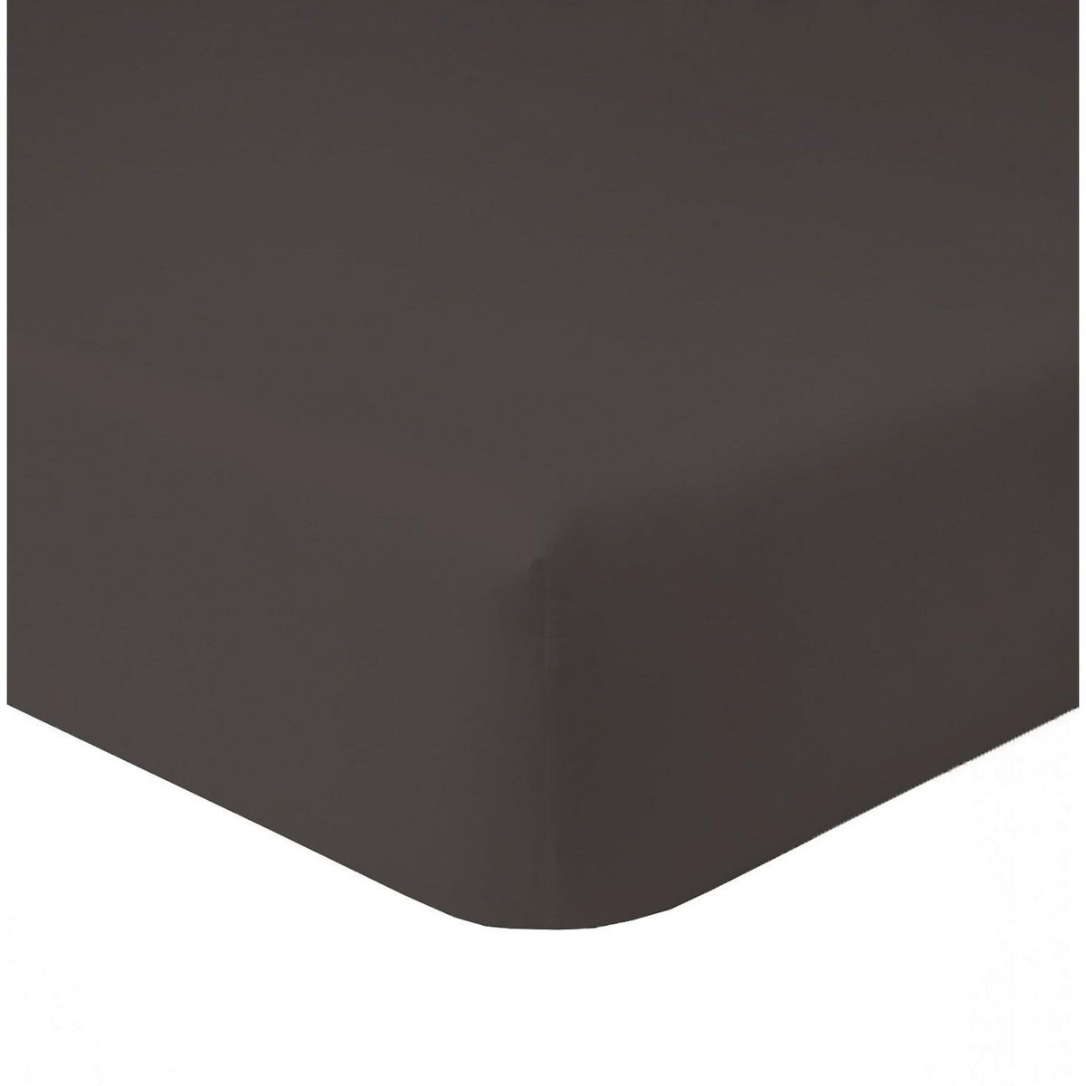 Home collection Drap Housse 100% Coton 57fils - Graphite 140x190