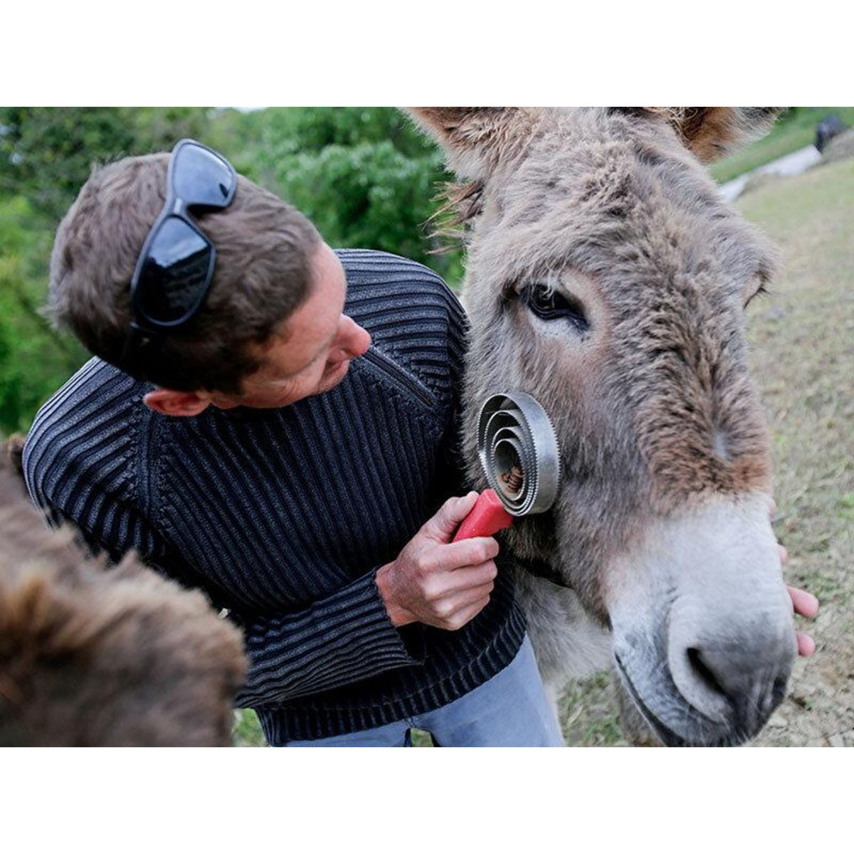 Smartbox Escapade en famille de 2 jours dans la nature en tente Safari Lodge - Coffret Cadeau Séjour