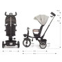 Voir la diapositive 4 : MILLY MALLY Tricycle enfant Twinkle Gris