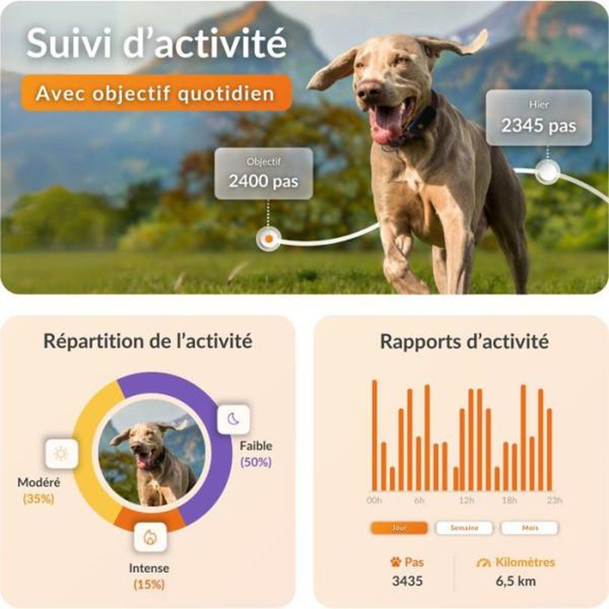 Voir la diapositive 4 : WEENECT Traceur gps pour chien sans collier - weenect - chien xt - antenne xl - etanche - fonctionne avec abonnement