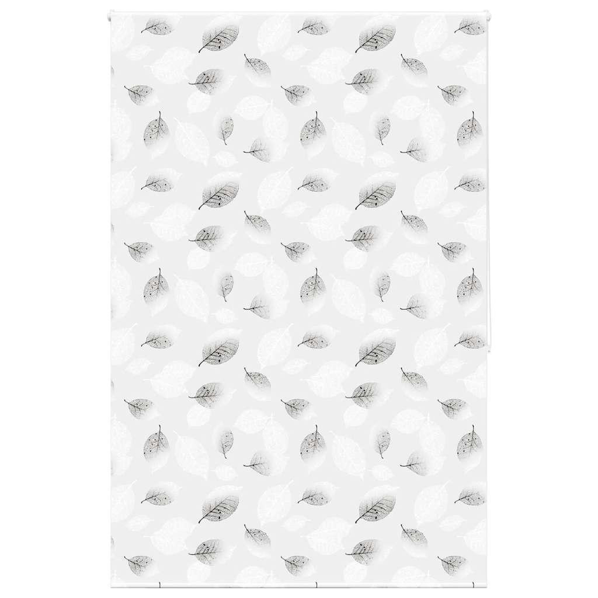 VIDAXL Store enrouleur de douche 160x240 cm largeur du tissu 156 cm