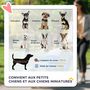 Voir la diapositive 4 : PAWHUT Poussette buggy pour chiens 75L x 46l x 94H cm pliable imperméable tissu 600D Oxford 4 roues noir