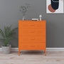 Voir la diapositive 1 : VIDAXL Commode Orange 80x35x101,5 cm Acier