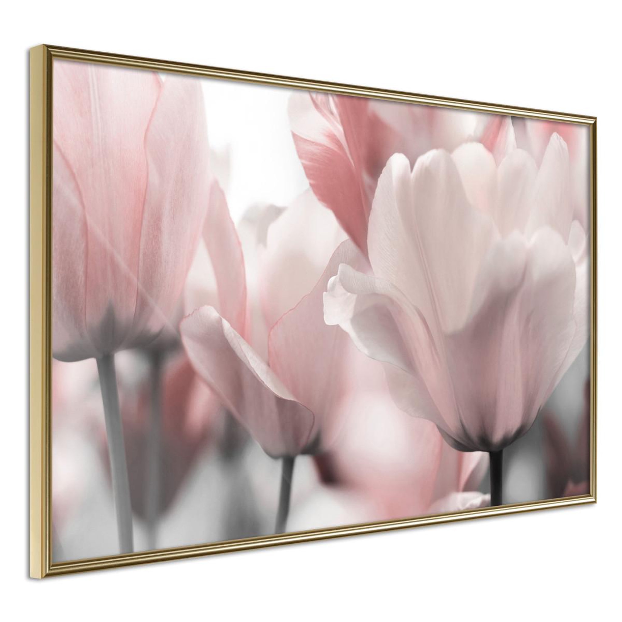 Paris Prix Affiche Murale Encadrée  Pastel Tulips II