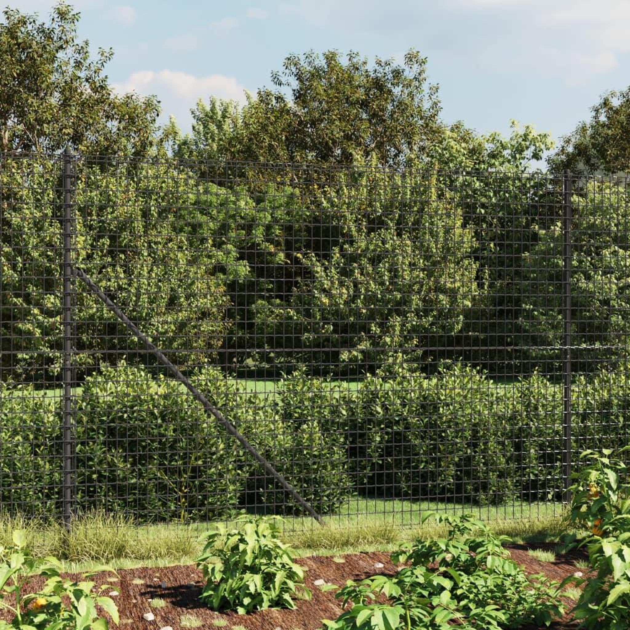 VIDAXL Cloture en treillis metallique et ancrage anthracite 1,4x25 m