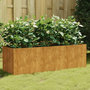 Voir la diapositive 1 : VIDAXL Lit sureleve de jardin 120x40x40 cm acier corten