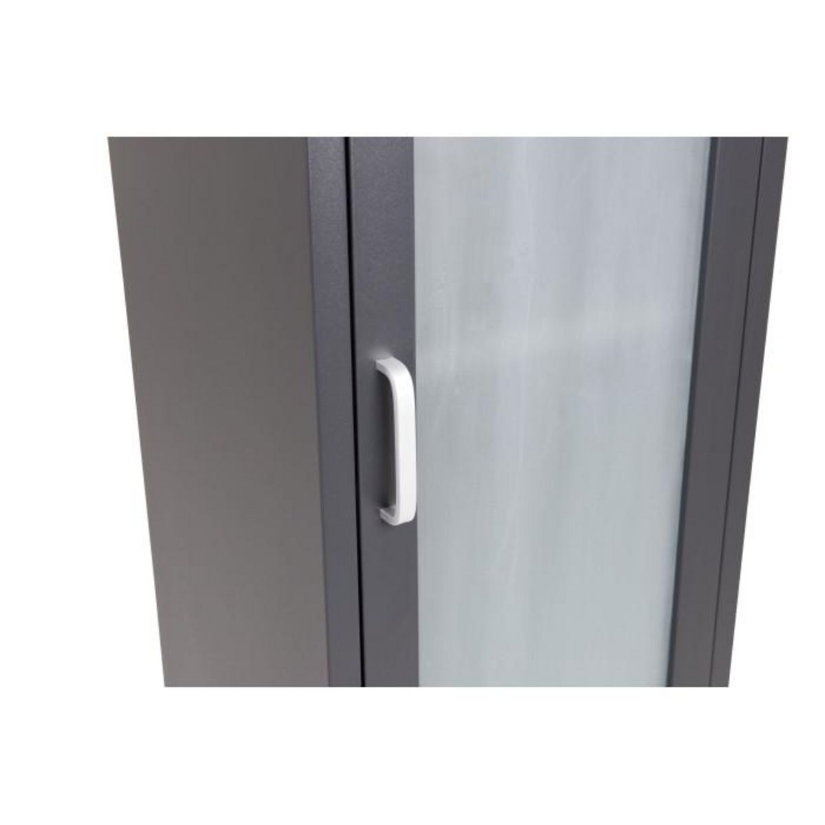 Paris Prix Vitrine Avec Porte Givrée  Acero  150cm Noir