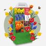 Voir la diapositive 4 : PLANT IN A BOX Mélange de bulbes pour le jardin - Set de 250