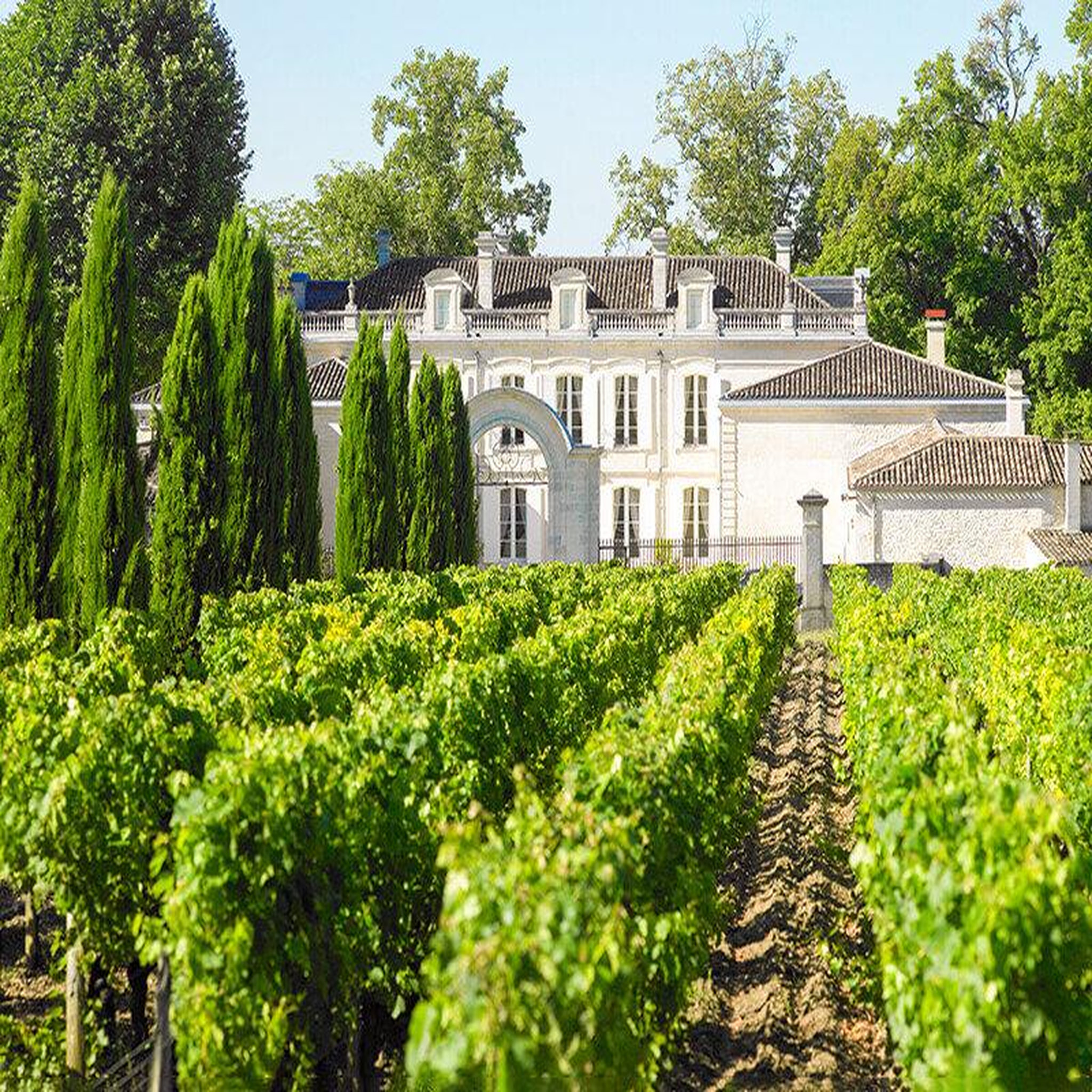 Voir la diapositive 2 : Smartbox Sur la route des vins - coffret cadeau séjour
