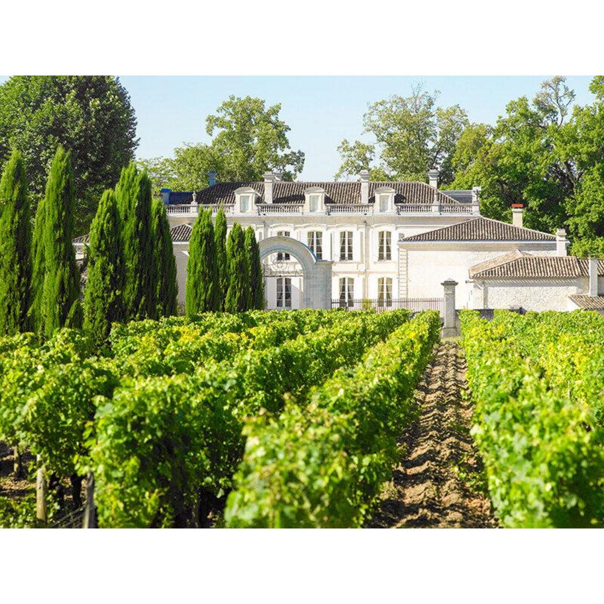 Smartbox Sur la route des vins - Coffret Cadeau Séjour