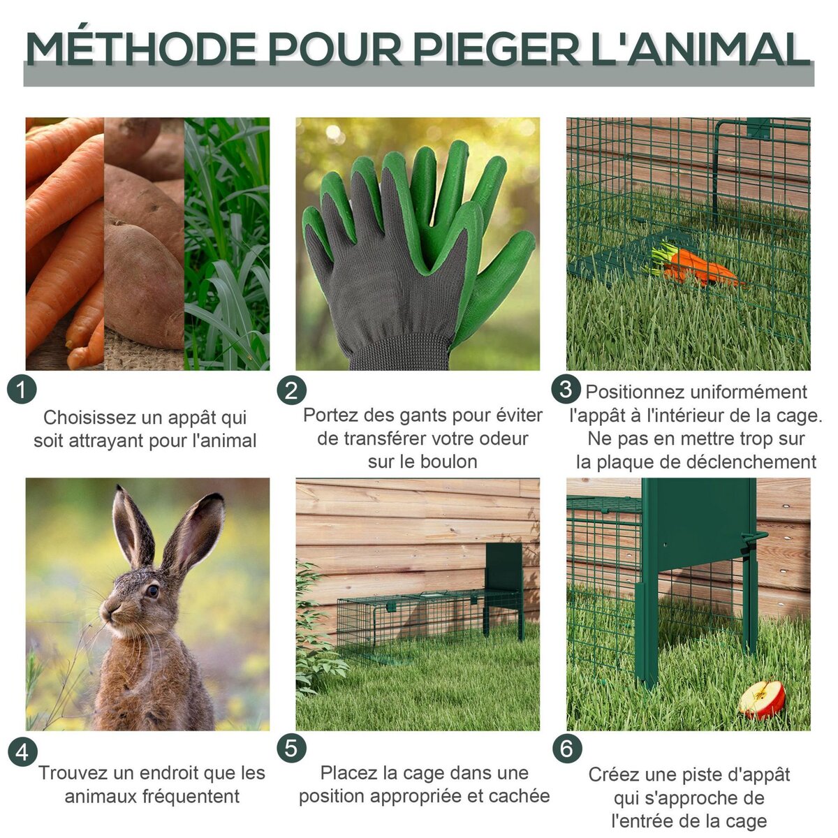 OUTSUNNY Piège de capture pour petits animaux type lapin rat - entrée, poignée - dim. 80L x 25l x 30H cm - acier vert