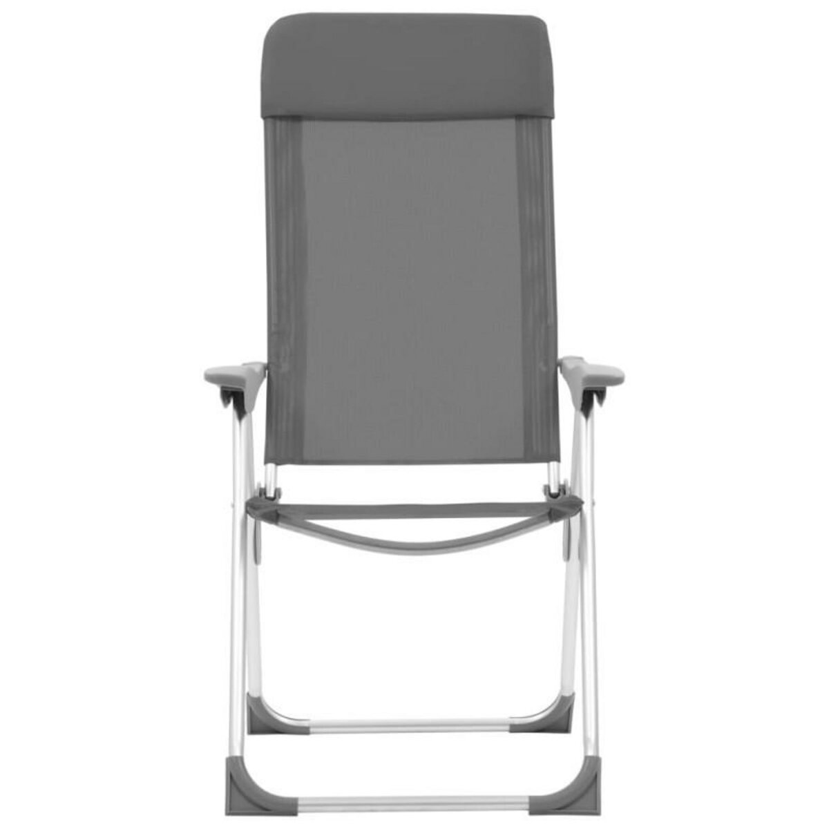 VIDAXL Chaises de camping pliables lot de 2 Gris Aluminium