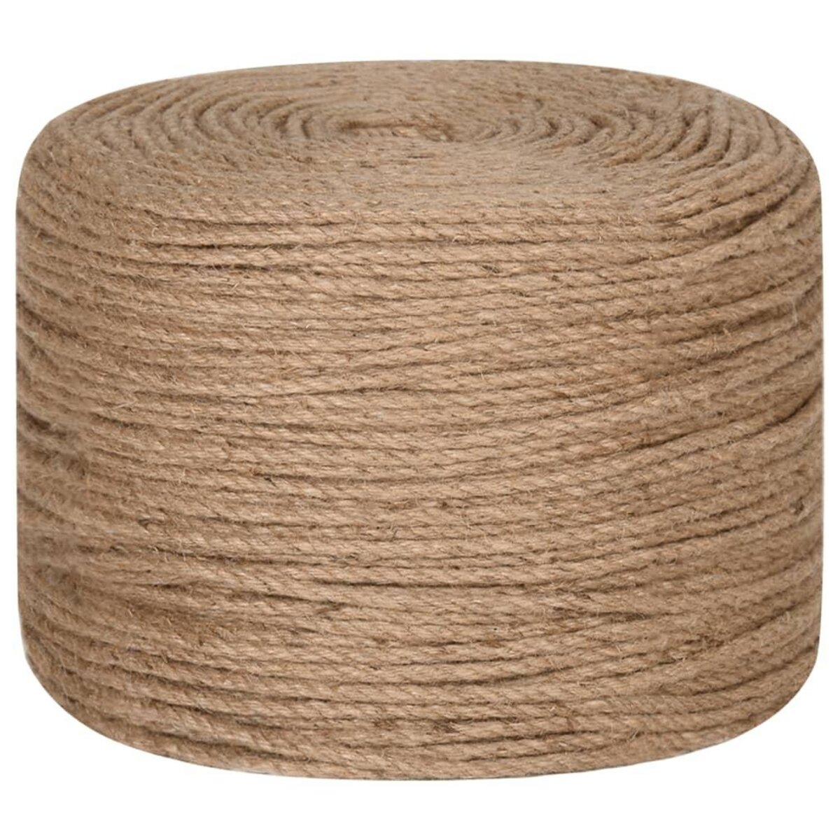 VIDAXL Corde 100 % jute 6 mm 500 m