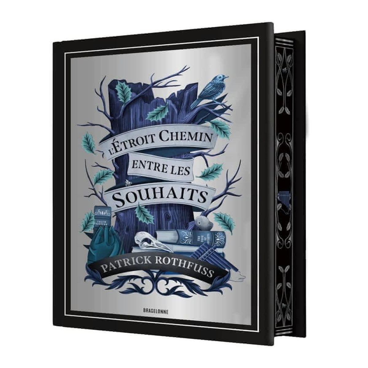 L'ETROIT CHEMIN ENTRE LES SOUHAITS, Rothfuss Patrick