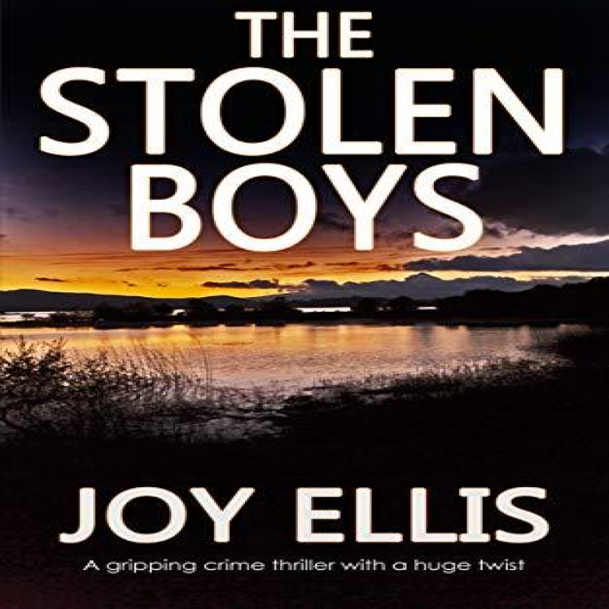 LIVRES Stolen Boys - Joy Ellis