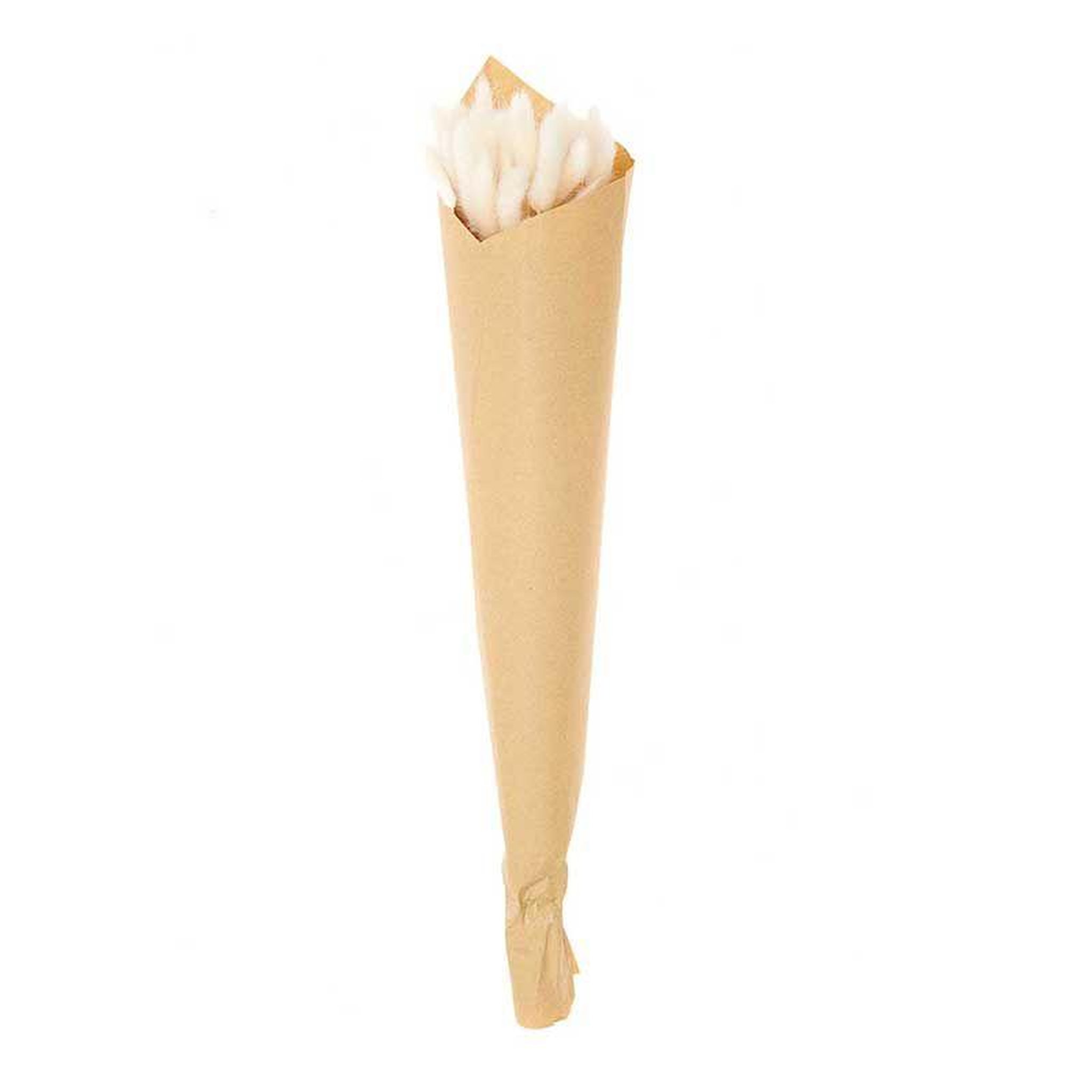 Voir la diapositive 2 : RICO DESIGN Lagurus séchés blanc - 45 cm