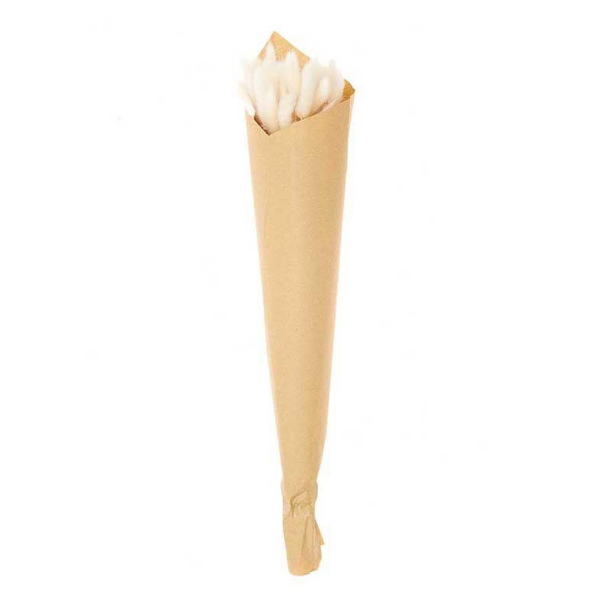 RICO DESIGN Lagurus séchés blanc - 45 cm