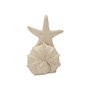 Voir la diapositive 2 : Paris Prix Étoile de Mer sur Coquillage en Résine  Sand  30cm Beige