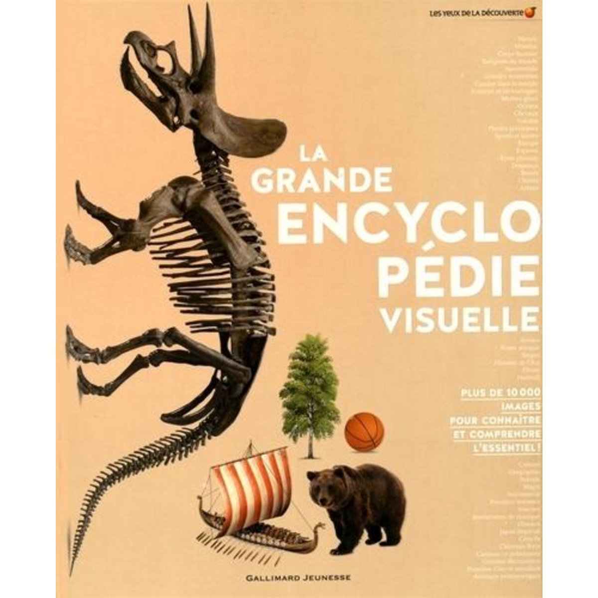 LA GRANDE ENCYCLOPEDIE VISUELLE, Davey Lizzie