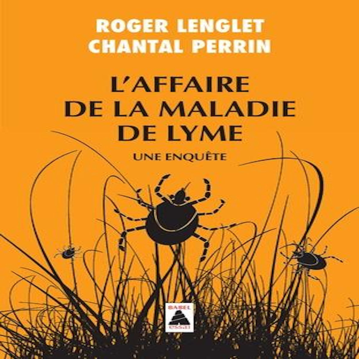 L'AFFAIRE DE LA MALADIE DE LYME. UNE ENQUETE, Perrin Chantal
