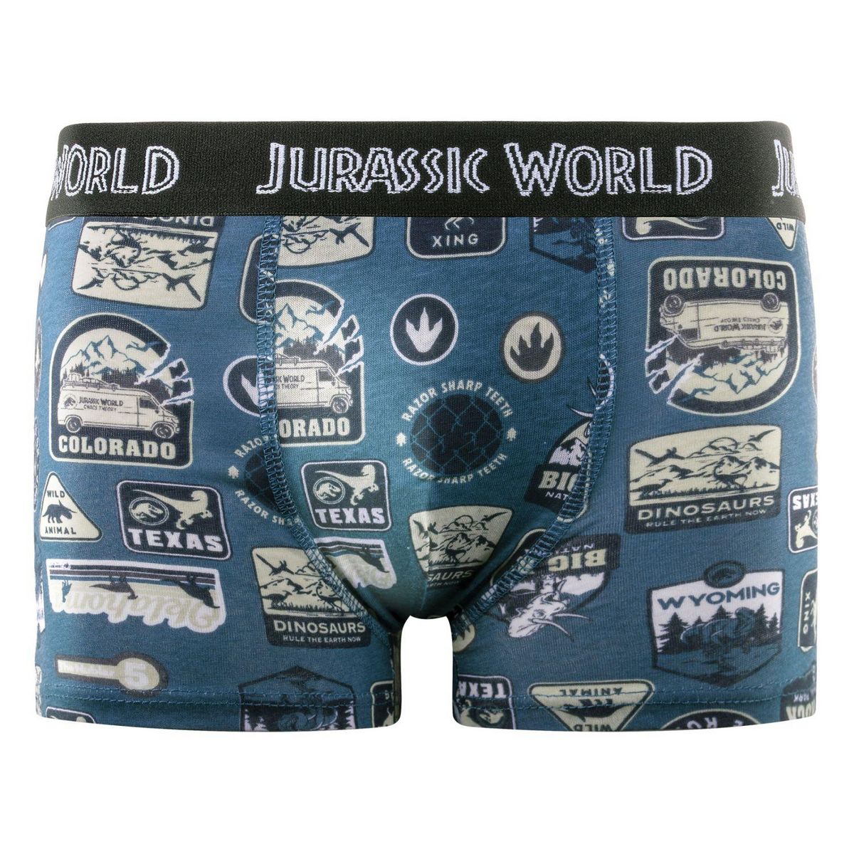 JURASSIC Lot de 4 boxers enfant Jurassic