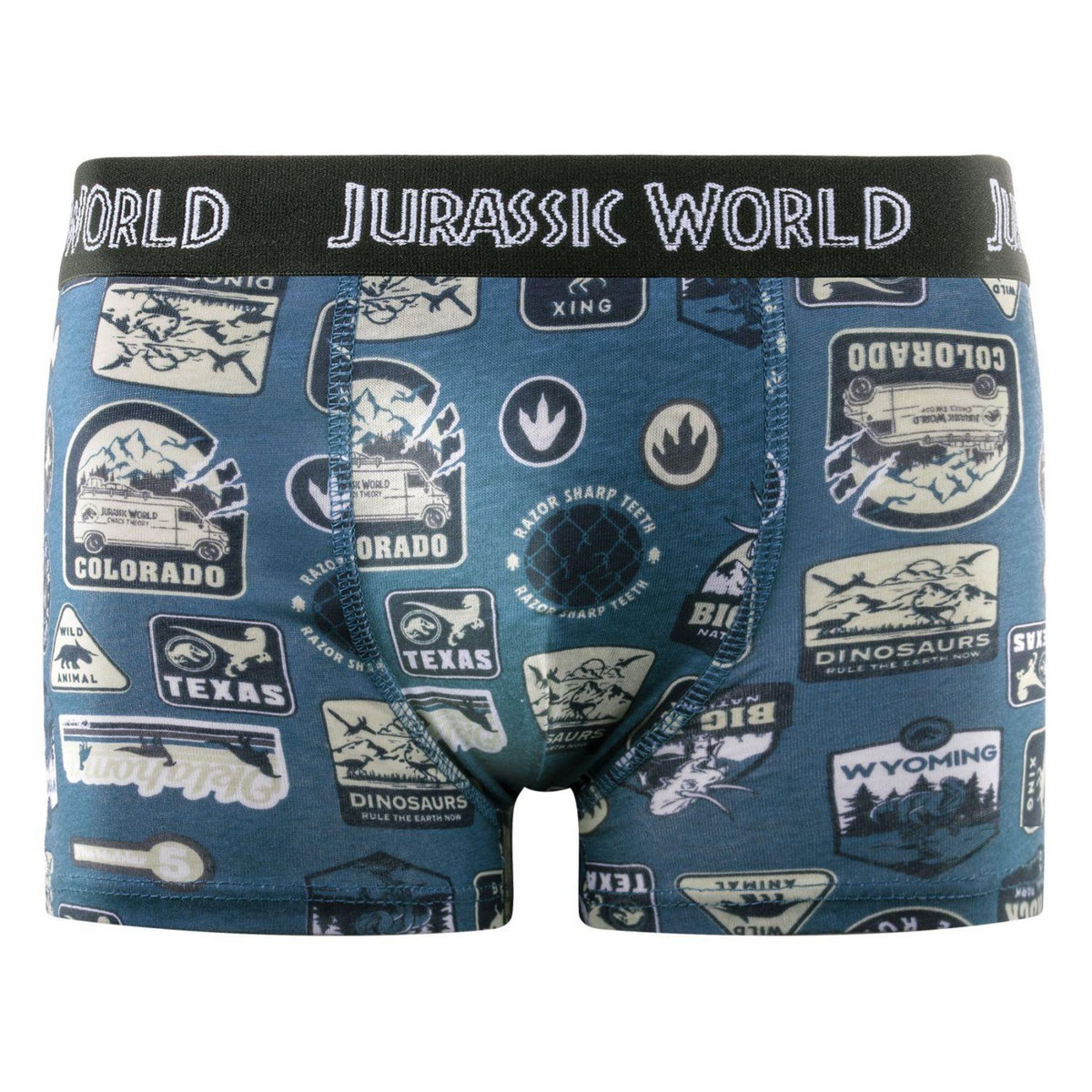 JURASSIC Lot de 4 boxers enfant Jurassic