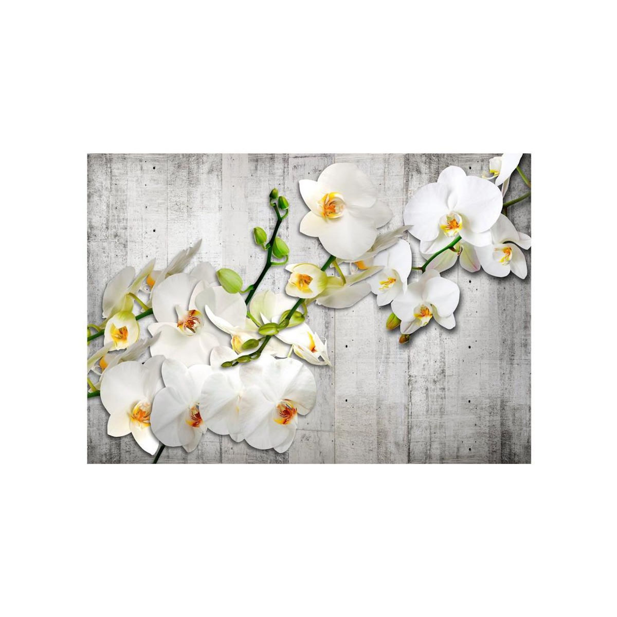 Paris Prix Papier Peint  With Saffron Accent