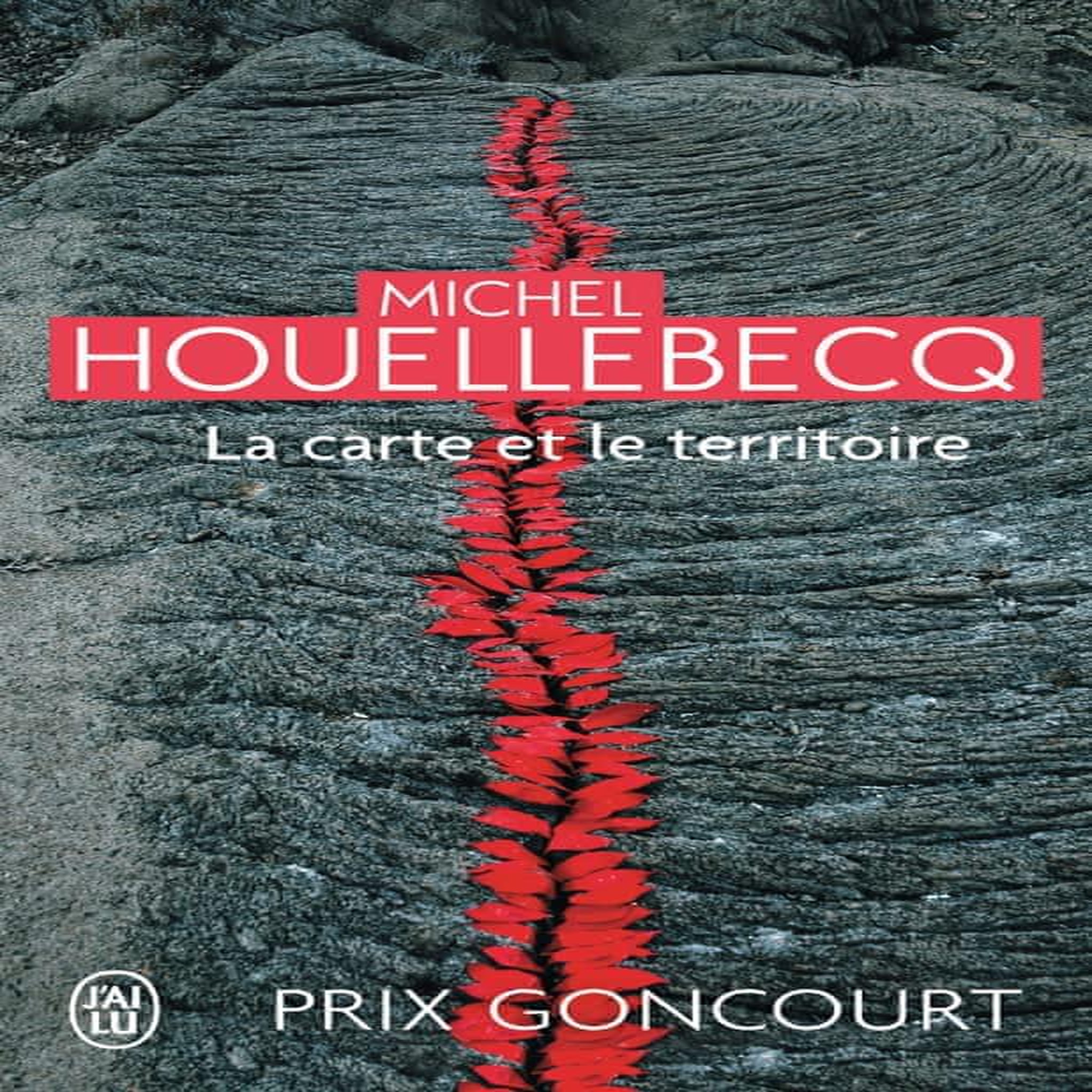 LA CARTE ET LE TERRITOIRE, Houellebecq Michel