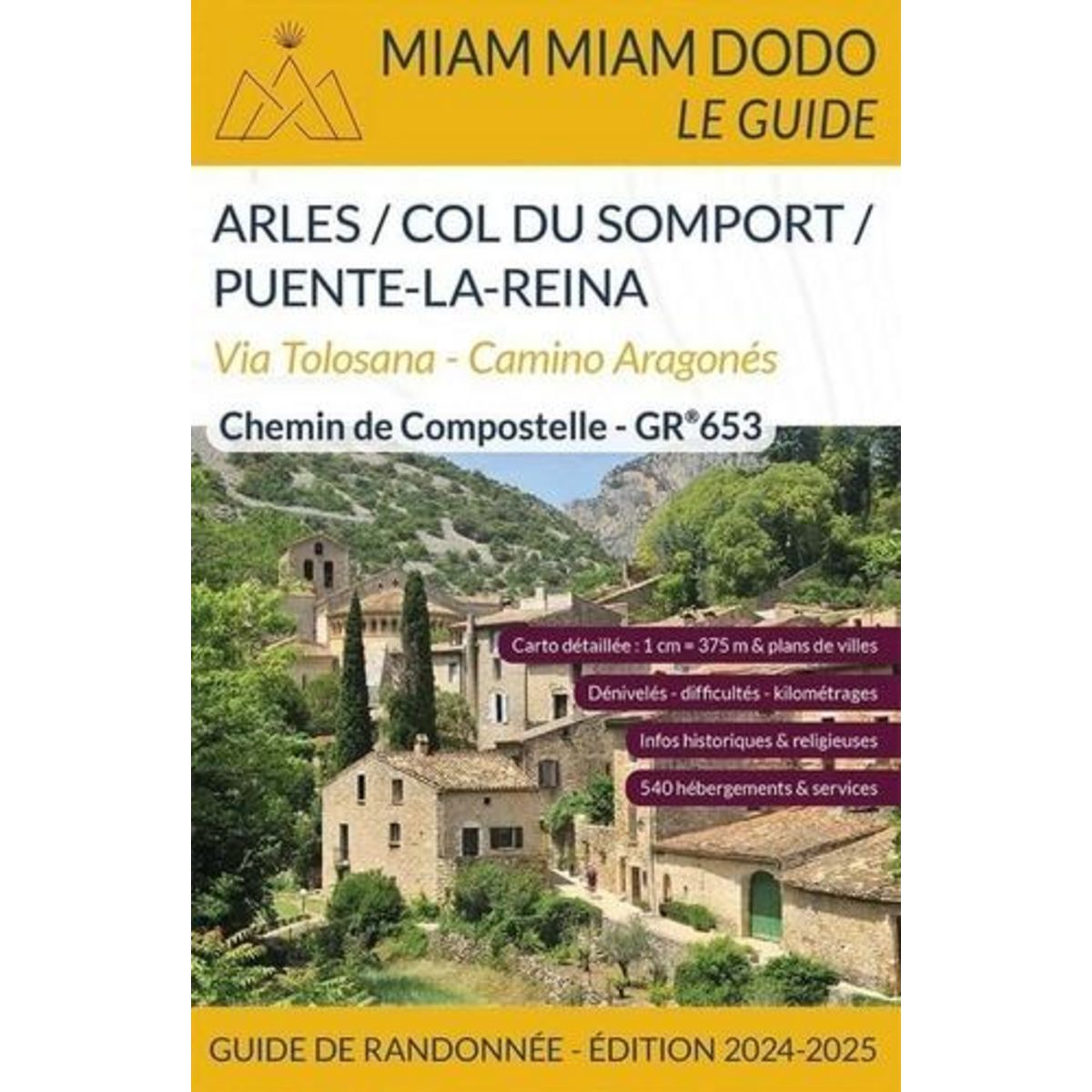 ARLES / COL DU SOMPORT / PUENTE-LA-REINA. VIA TOLOSONA - CAMINO ARAGONES, CHEMIN DE COMPOSTELLE - GR 653, EDITION 2024-2025, Retail Mireille
