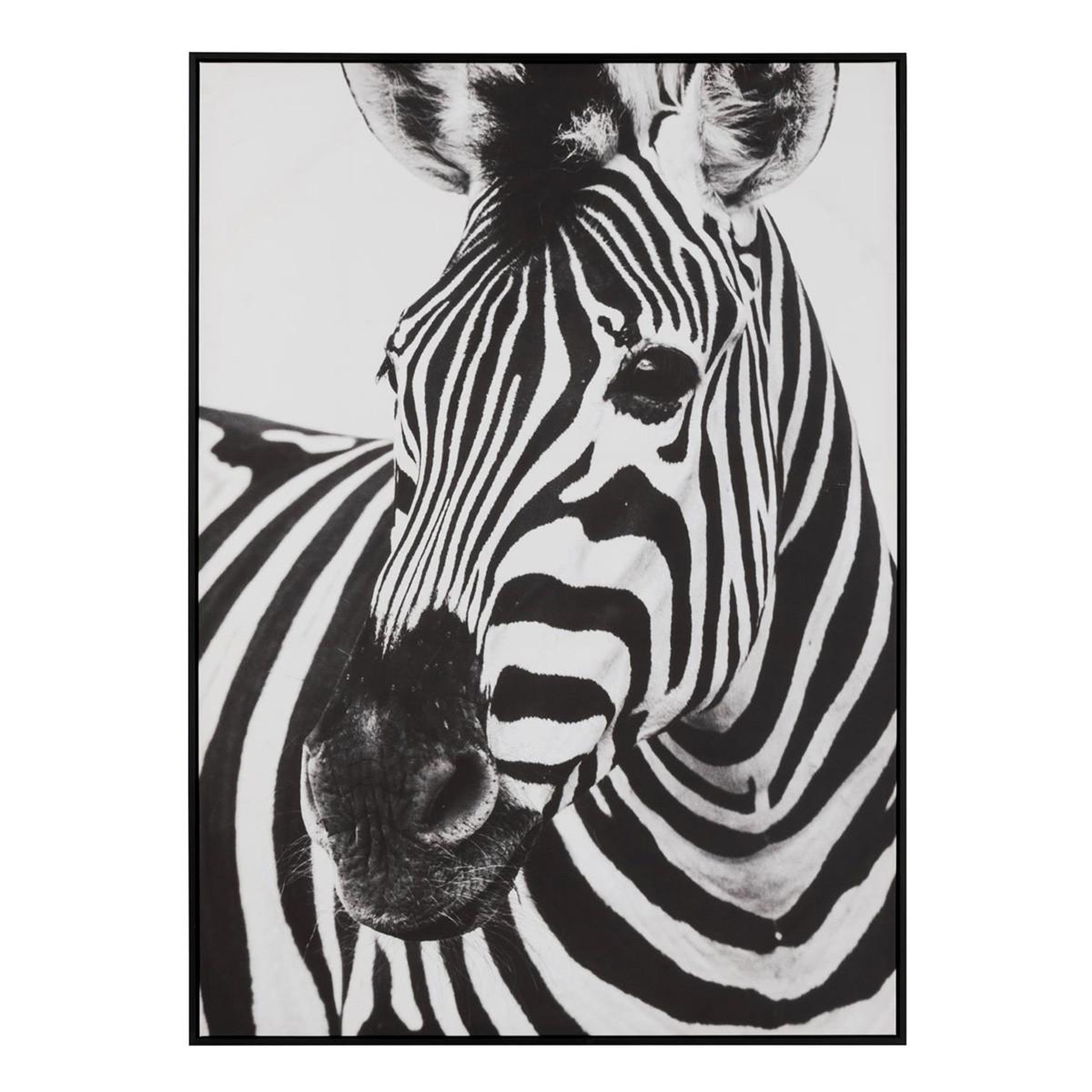 J-LINE Tableau imprimé déco  zèbre  103x143cm noir & blanc