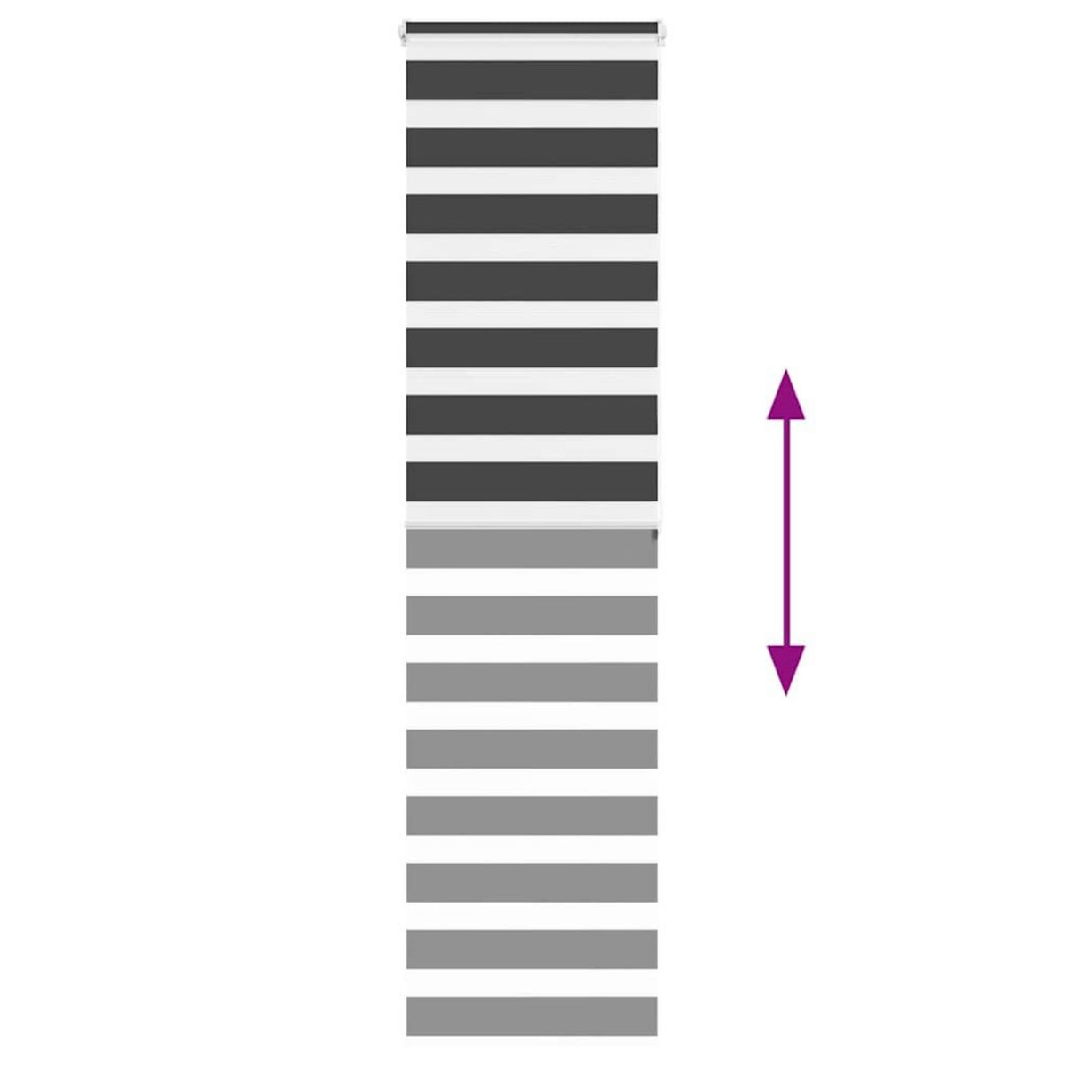 VIDAXL Store zebre noir 55x200 cm largeur du tissu 50,9 cm polyester